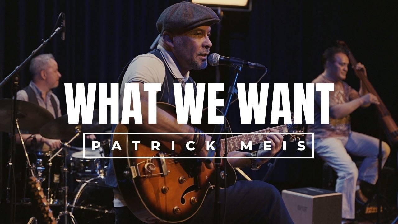 What We Want van Singer Songwriter Patrick Meis | Official Music Video / Videoclip